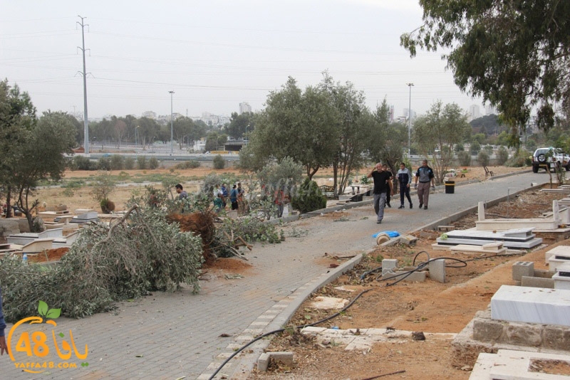 tasoooi3i1412 (54).JPG